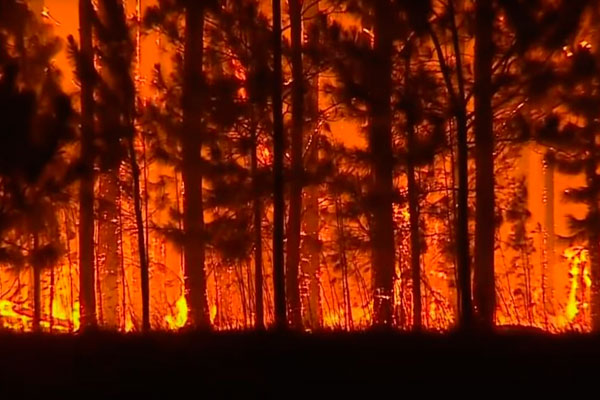 800 mil has son devoradas por un fuego voraz en Corrientes Argentina