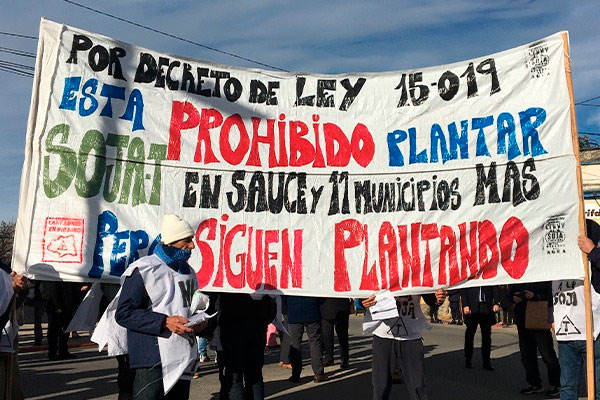 Agroempresarios sojeros siguen faltando a las leyes en Uruguay 3